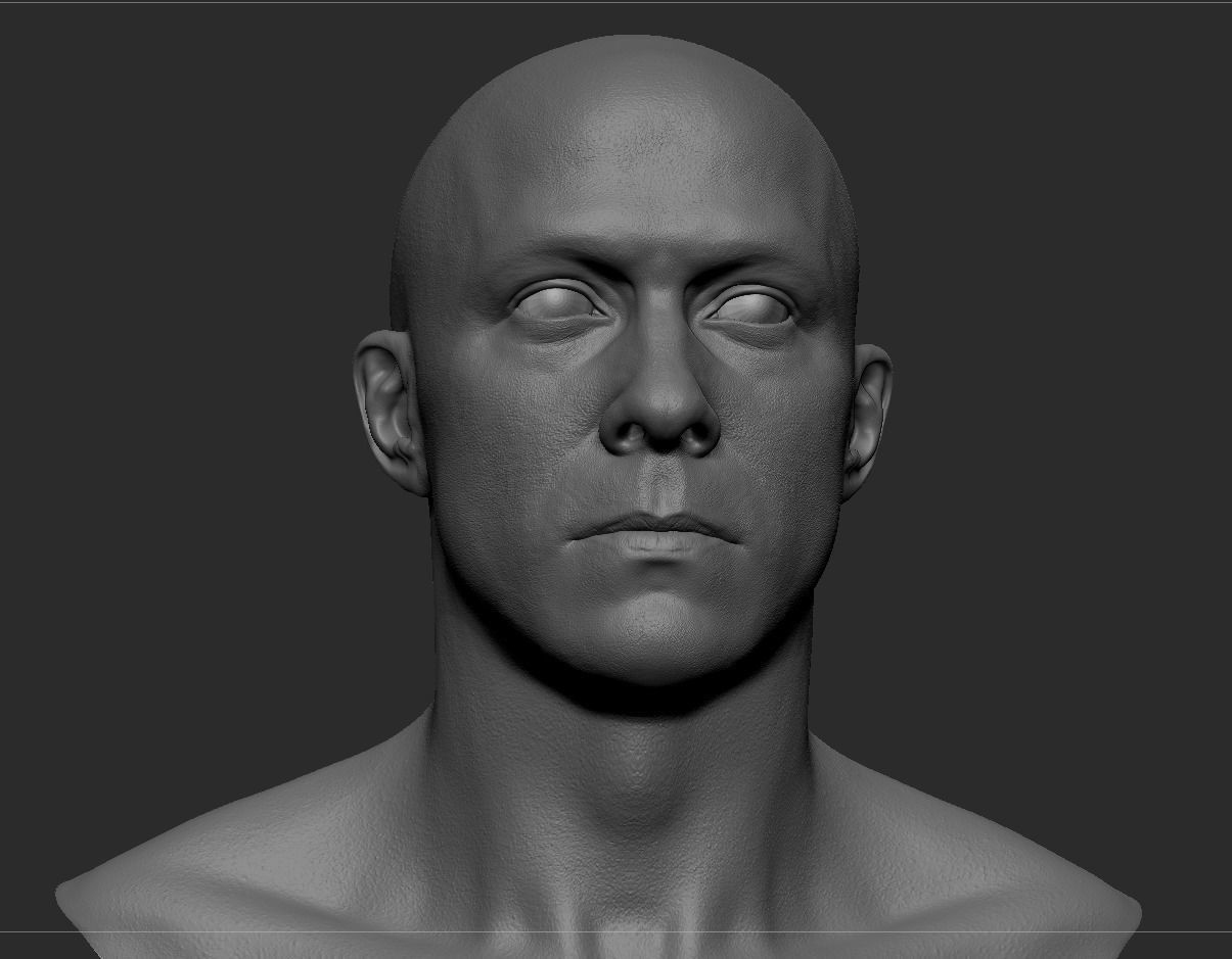 White Male Head Anatomy 3D model_2