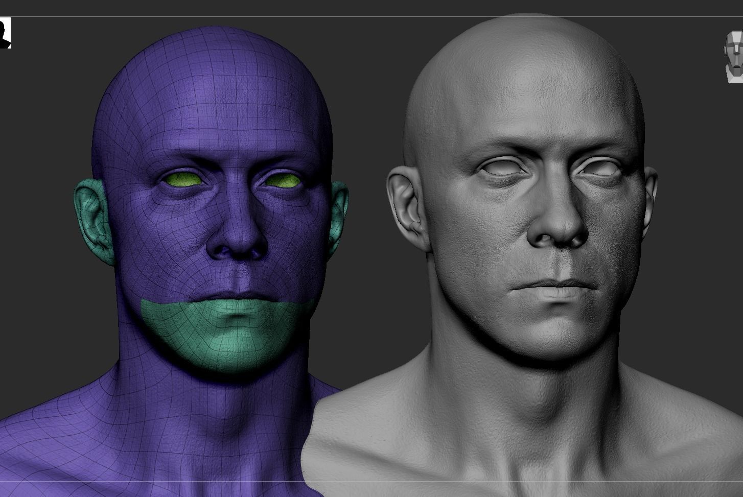 White Male Head Anatomy 3D model_10