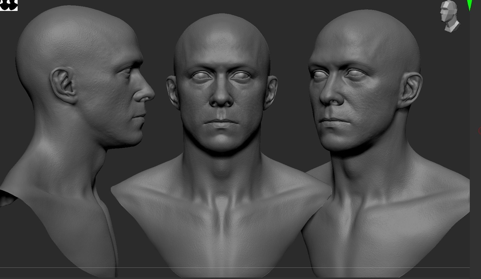 White Male Head Anatomy 3D model_4