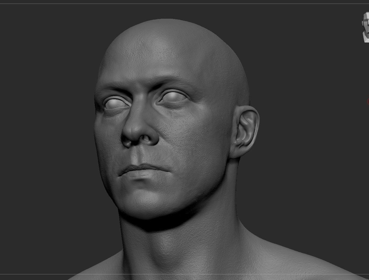 White Male Head Anatomy 3D model_6