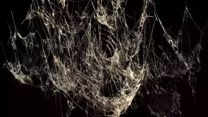Spiderweb Bundle 3D model
