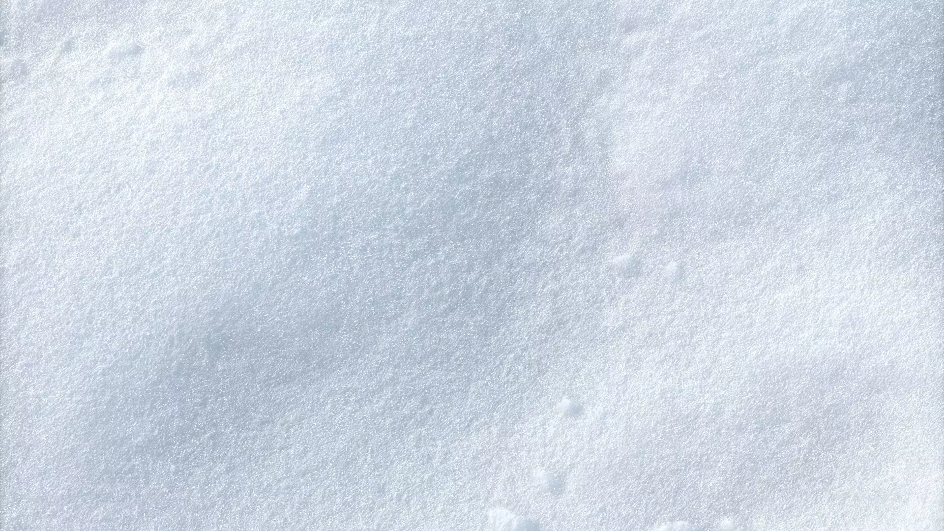 Snow scan 5B Low-poly 3D model_0