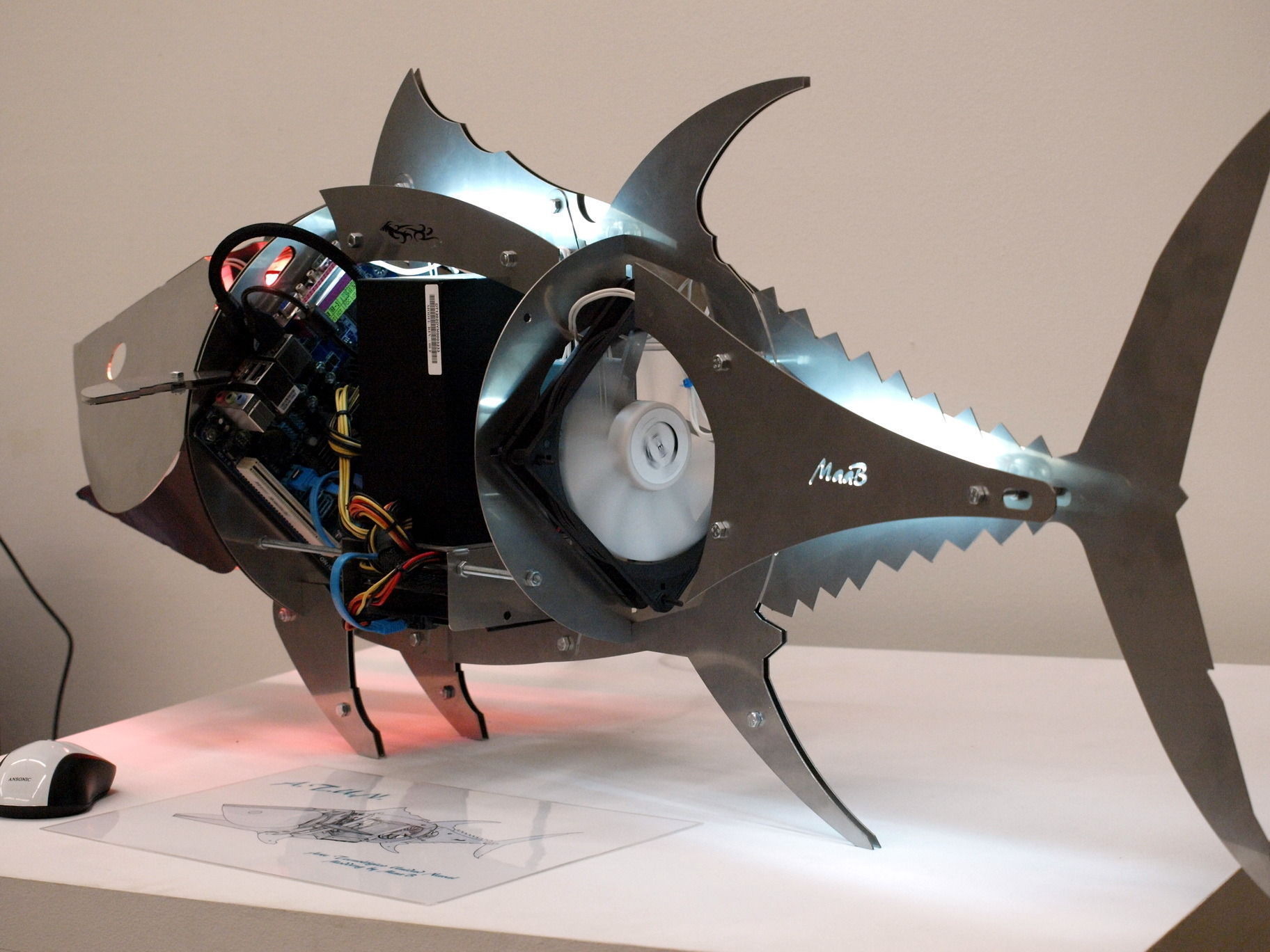 ATUN - Bluefin Tuna 3D print model_2