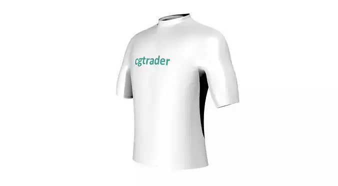 Basic T-Shirt 3D model