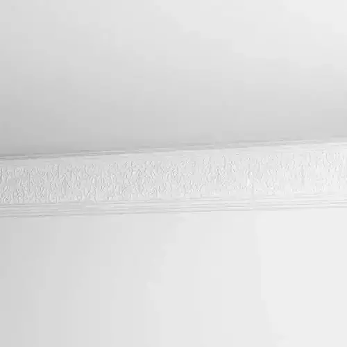 Interior Architecture Ornament