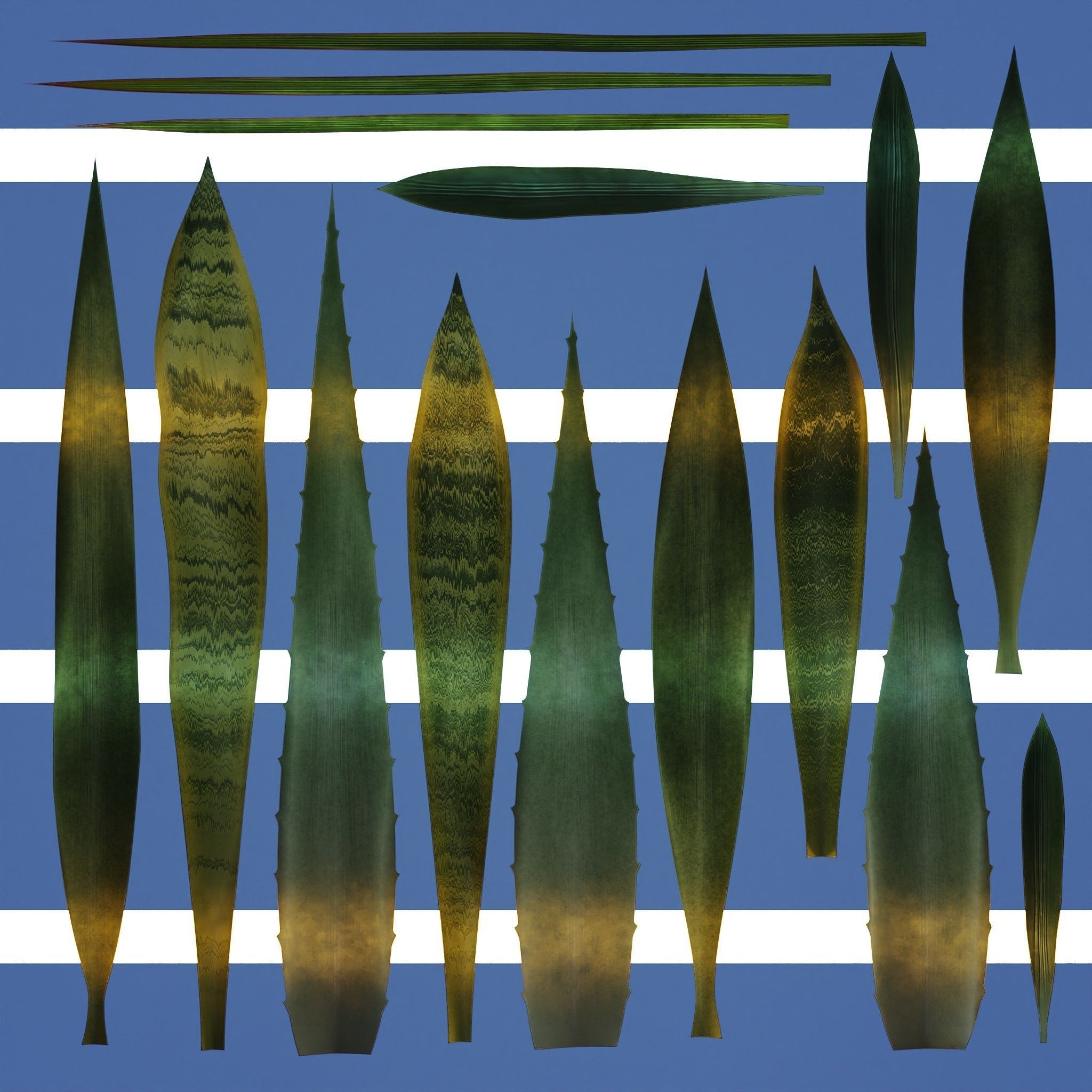 15 Leaves Atlas - 5 Species - PBR - 8K - SBSAR Low-poly 3D model_2