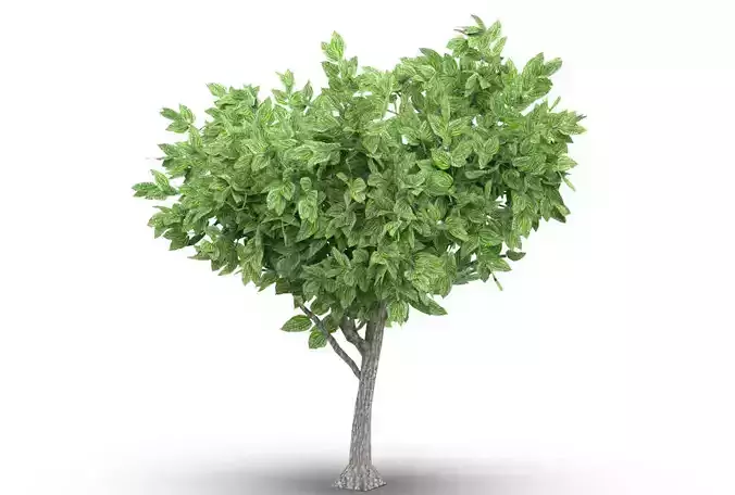 Tree Small Low-poly 3D model