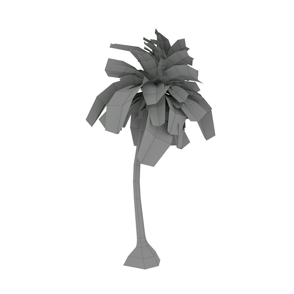 Coconut Tree 3D model_2