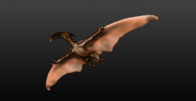 3d model of pterosaur 3D model