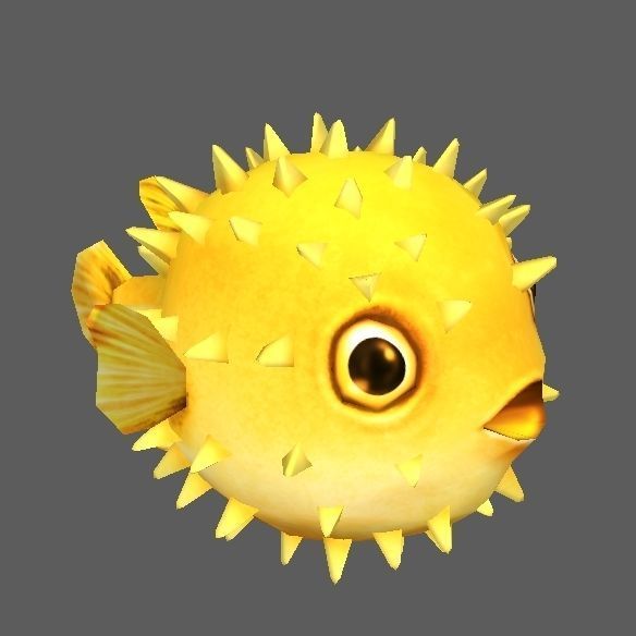 Pufferfish puffer fish with spikes Low-poly 3D model_4