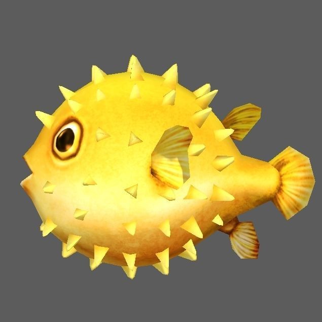 Pufferfish puffer fish with spikes Low-poly 3D model_6