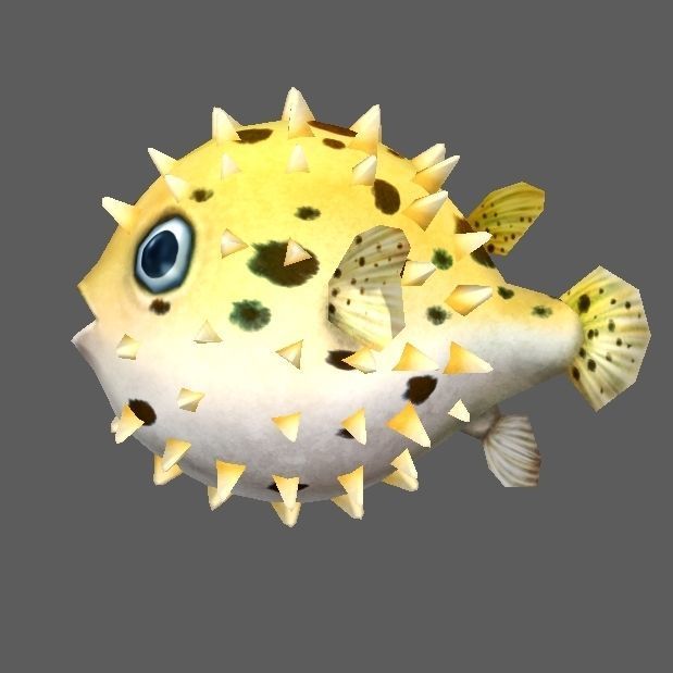 Pufferfish puffer fish with spikes Low-poly 3D model_2