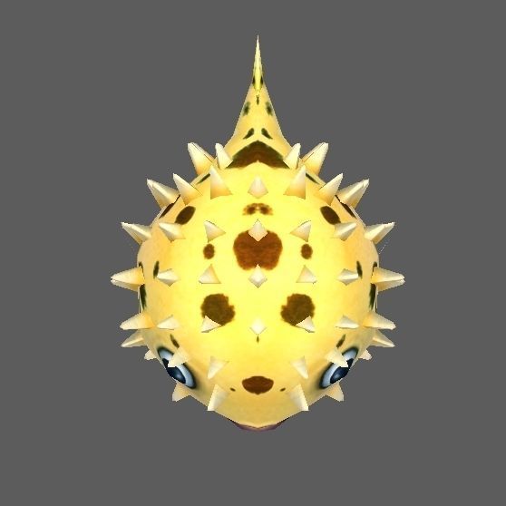 Pufferfish puffer fish with spikes Low-poly 3D model_3