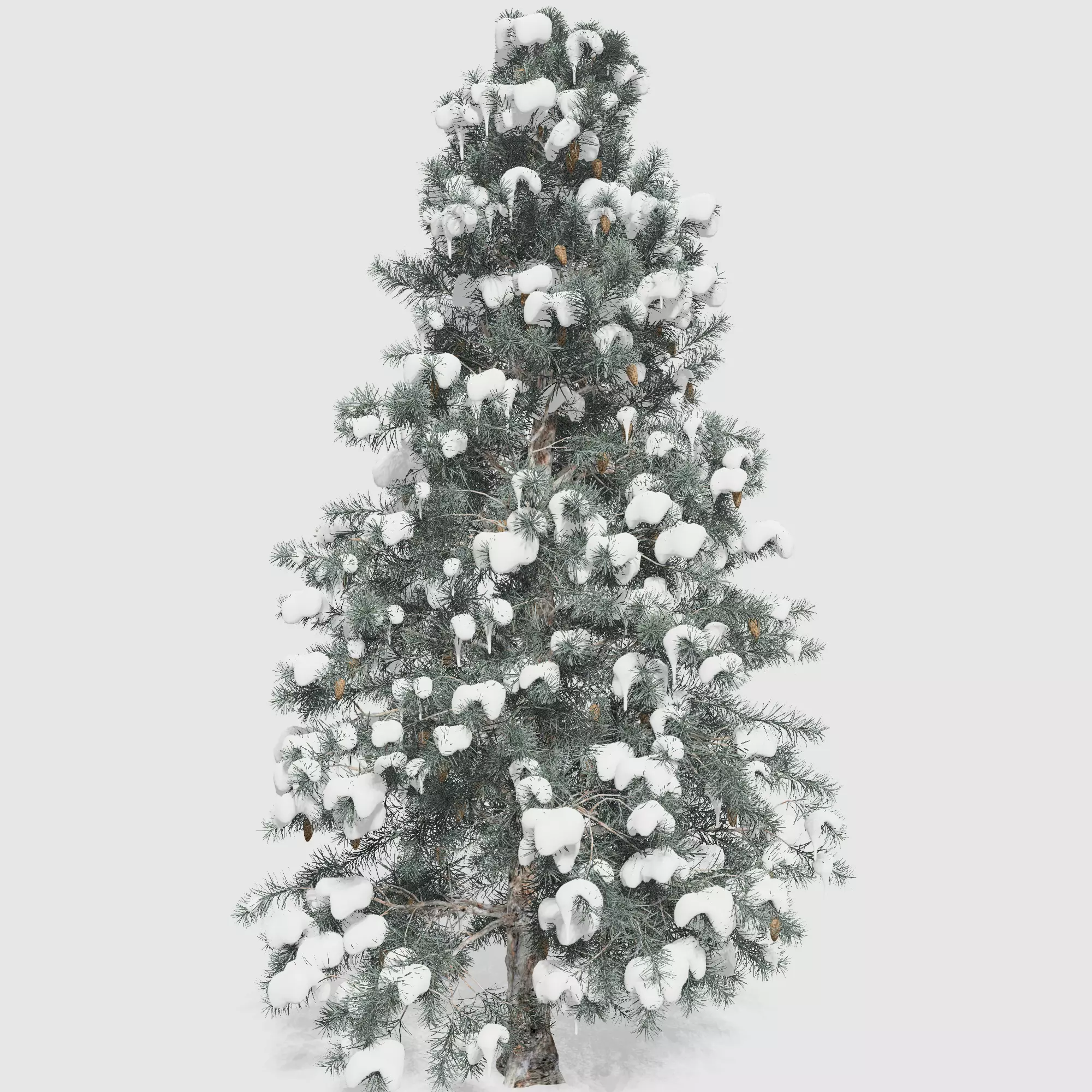 Blue Spruce tree collection 18 trees Models in the scene Low-poly 3D model