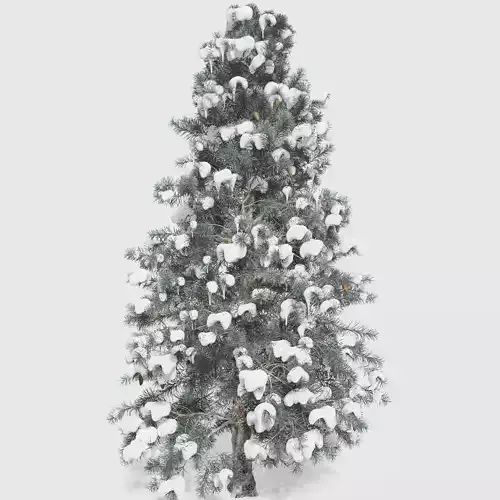 Blue Spruce tree collection 18 trees Models in the scene Low-poly 3D model
