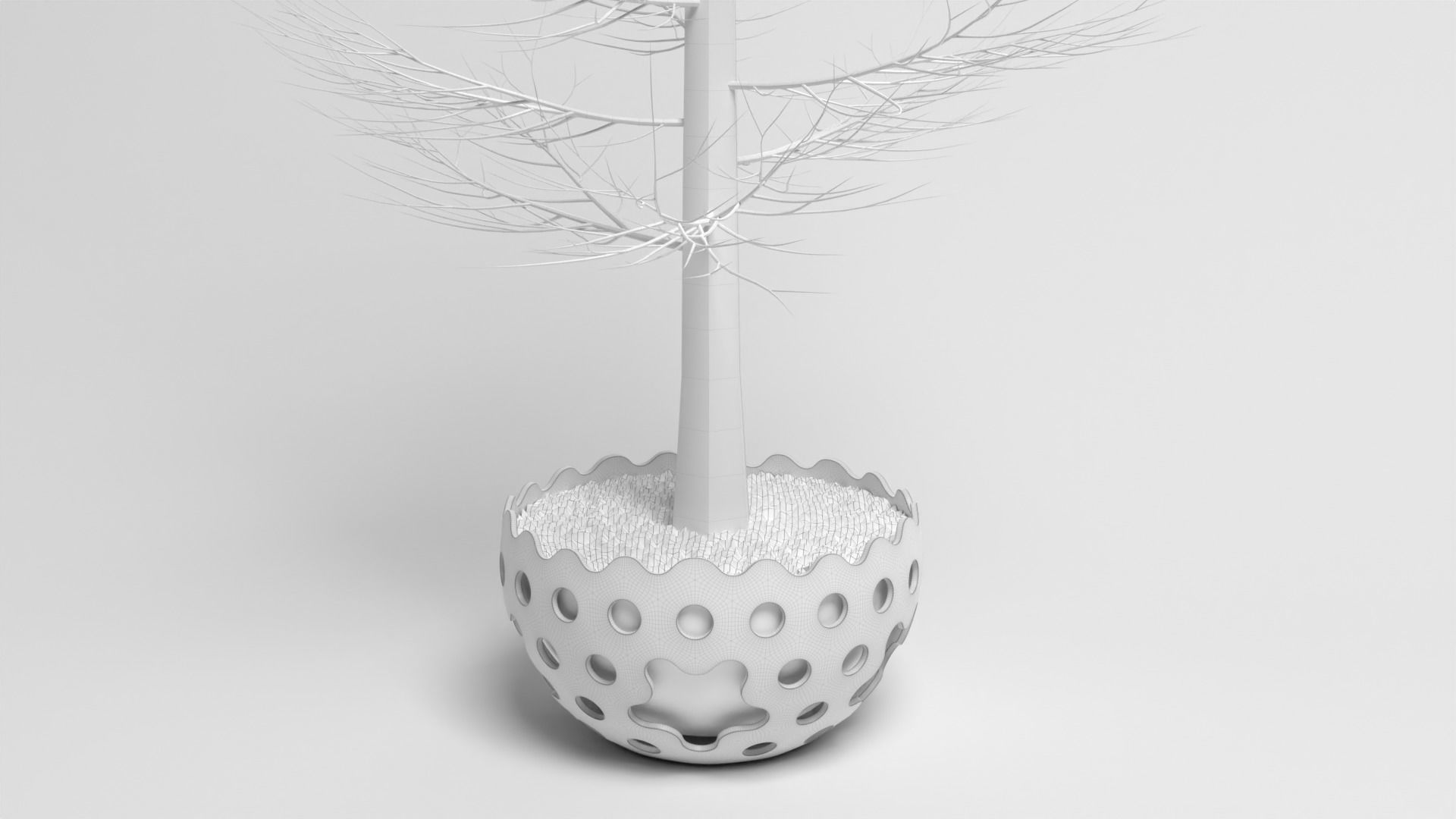 Picea pungens fatalbert 3D model_3