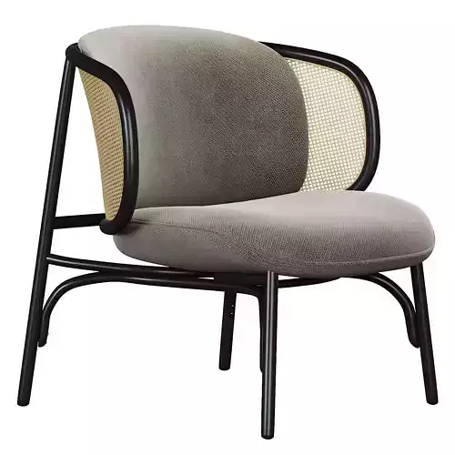 Suzenne Gebruder Thonet Vienna Armchair