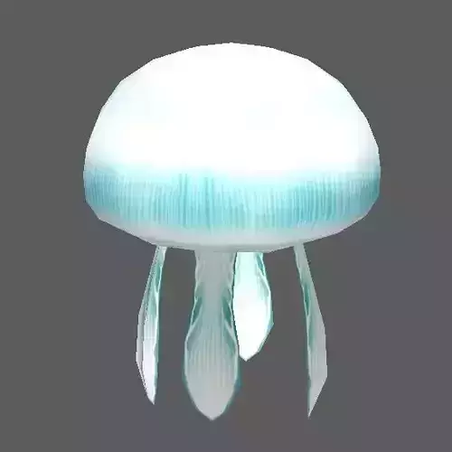 Jellyfish