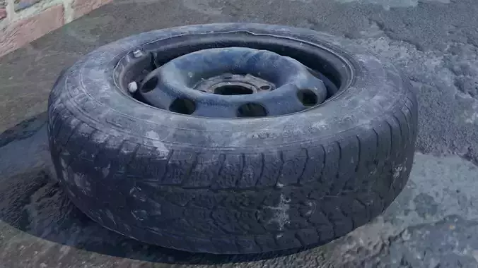 3D scanned tires Free low-poly 3D model