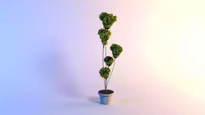 Fatinia pink marble pompon