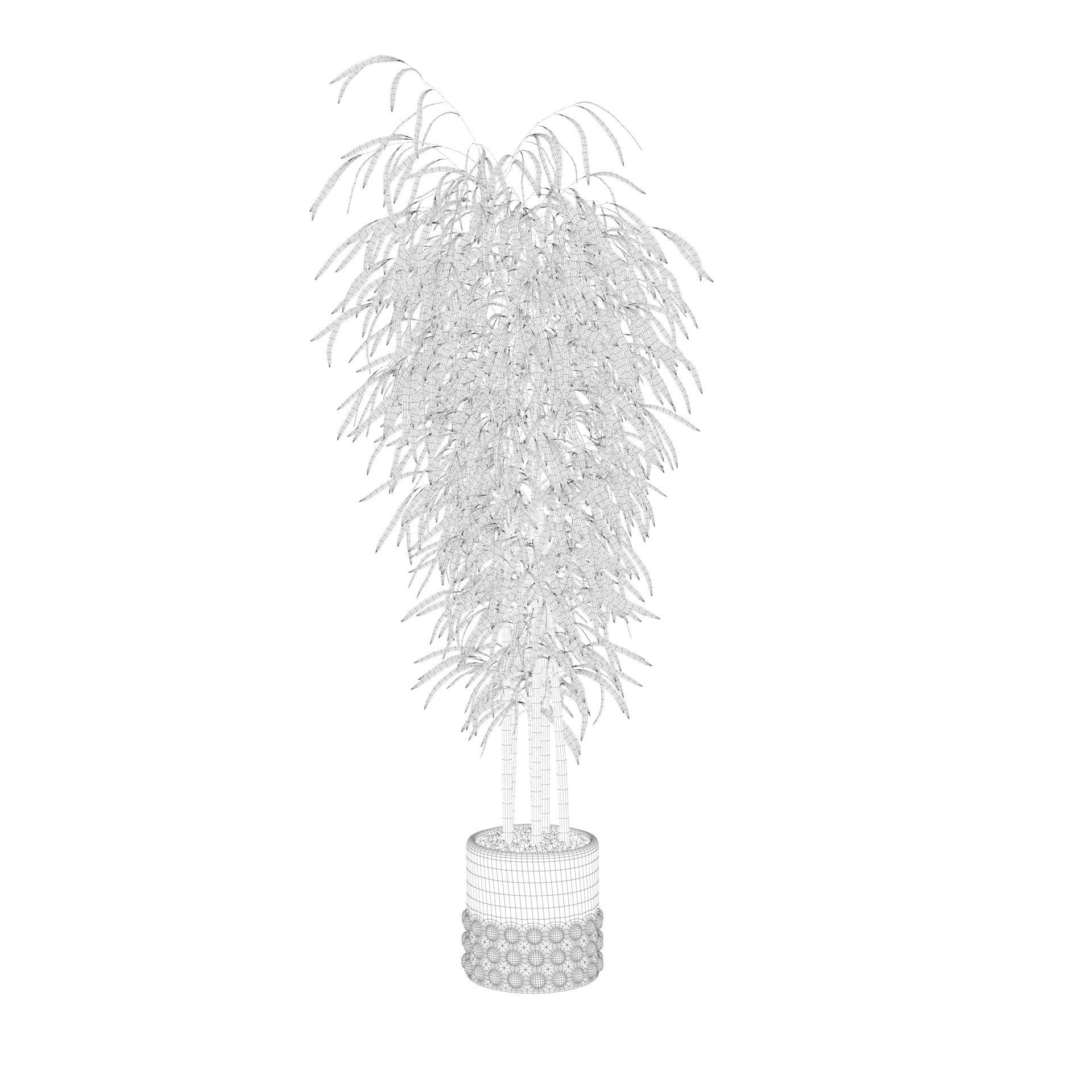 Bamboo in black oval pot 3D model_45