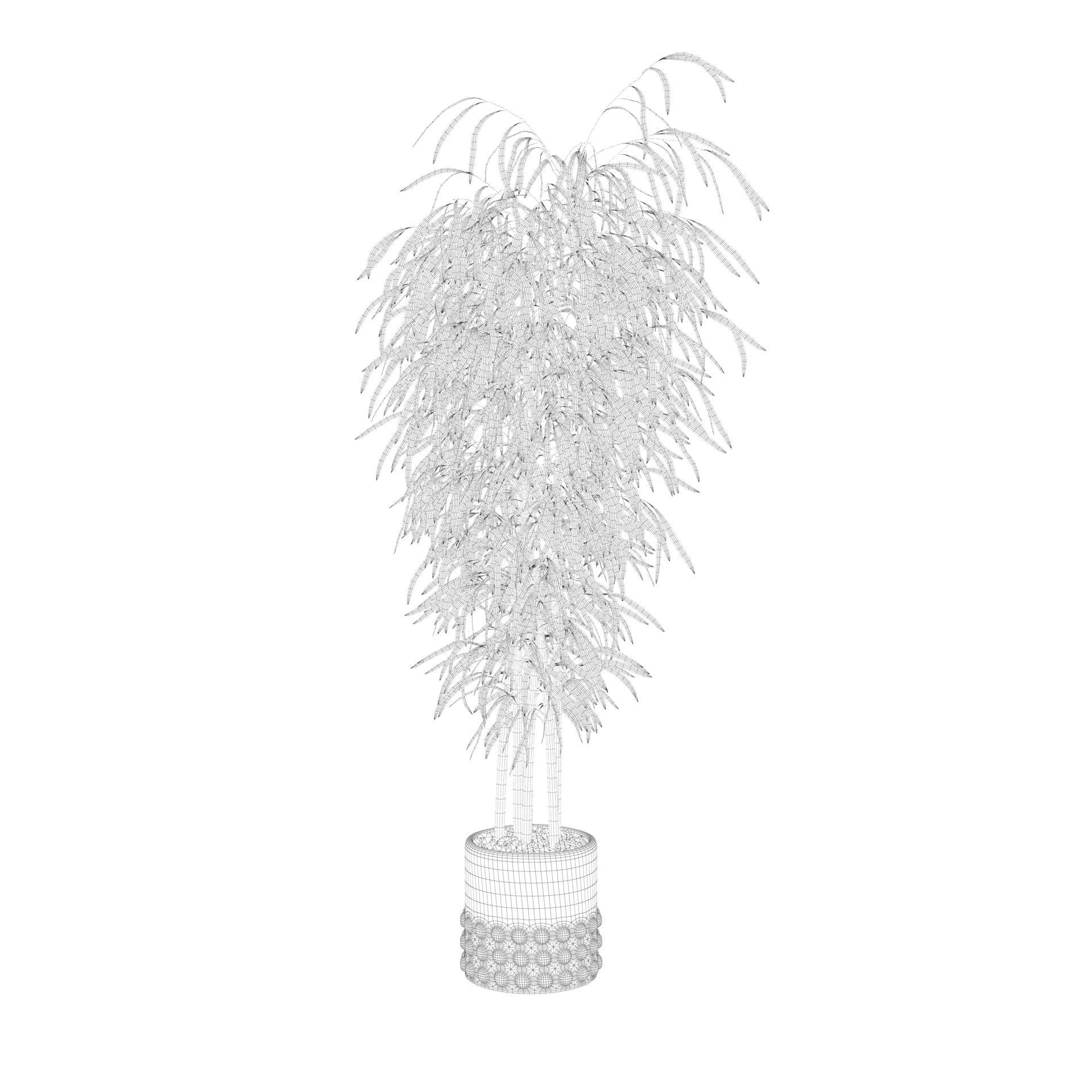 Bamboo in black oval pot 3D model_66