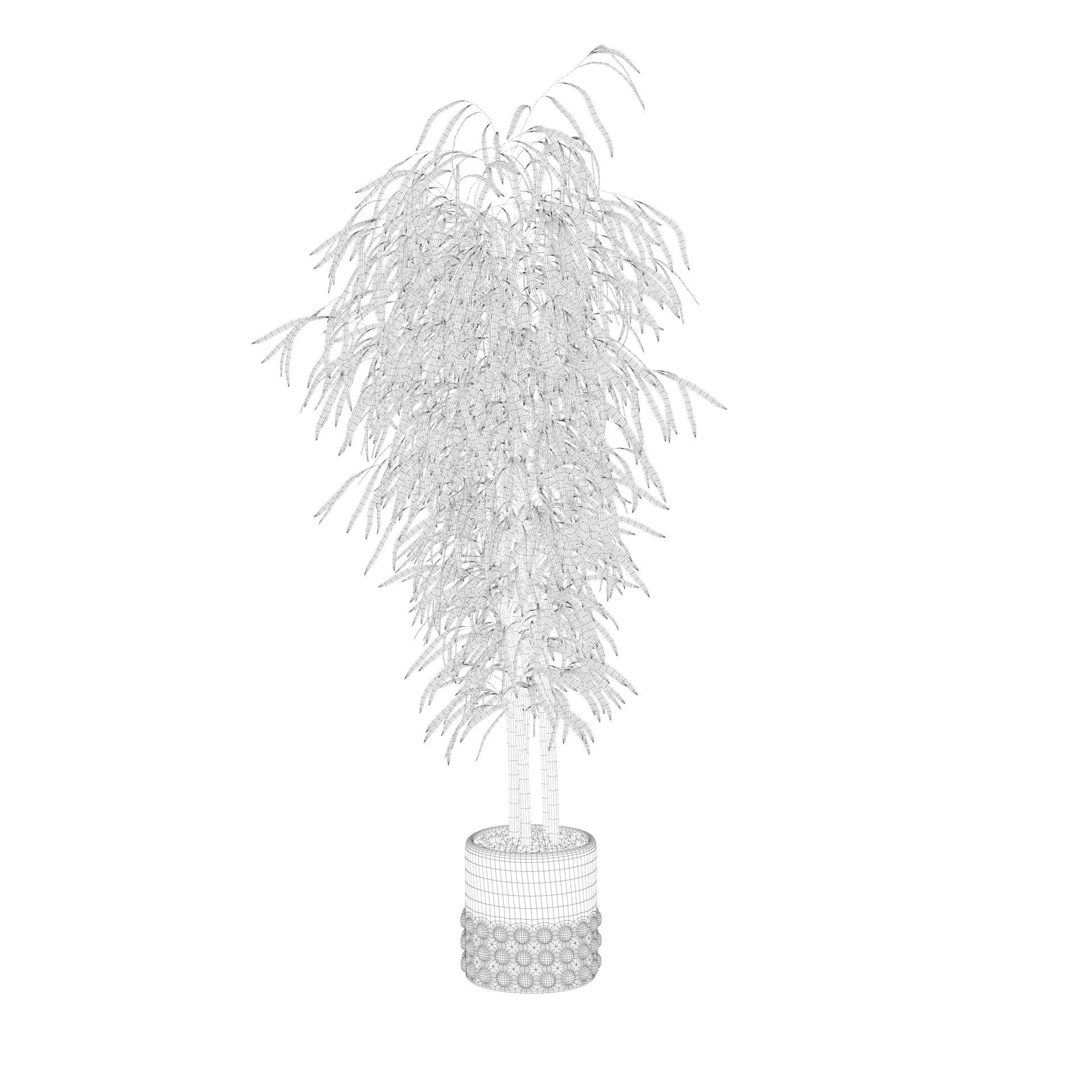 Bamboo in black oval pot 3D model_54