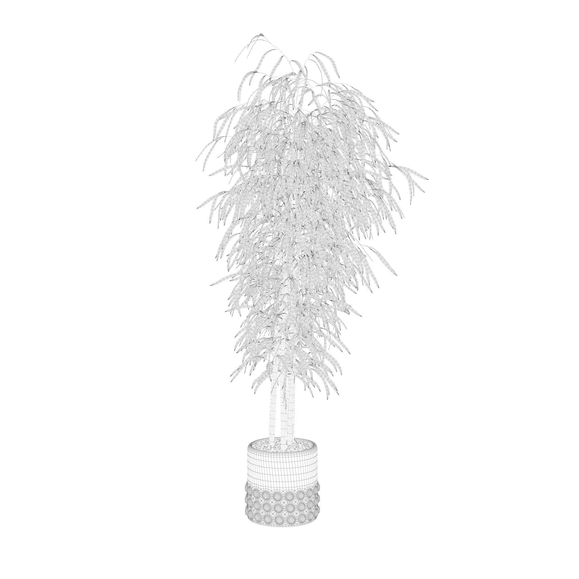 Bamboo in black oval pot 3D model_44