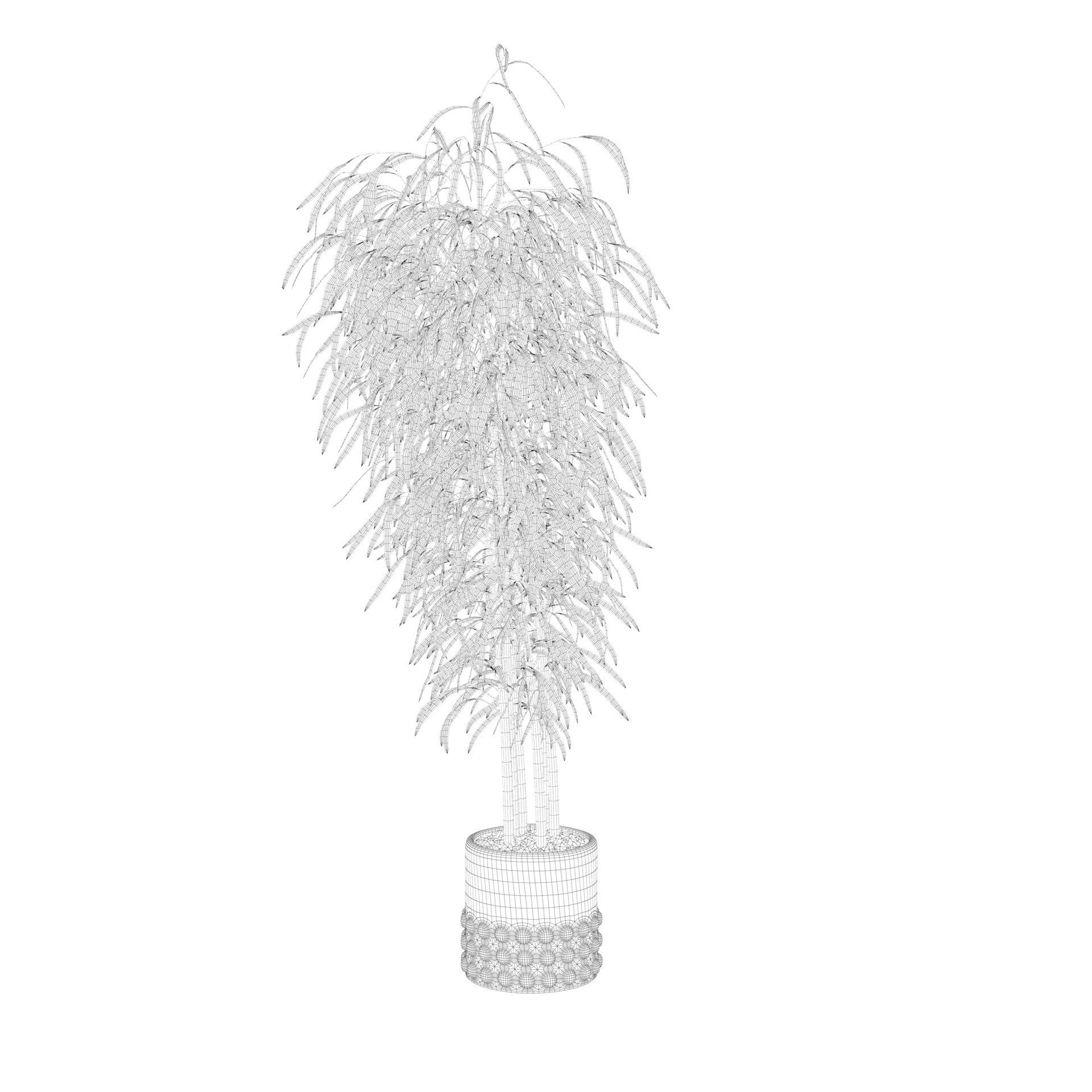 Bamboo in black oval pot 3D model_52