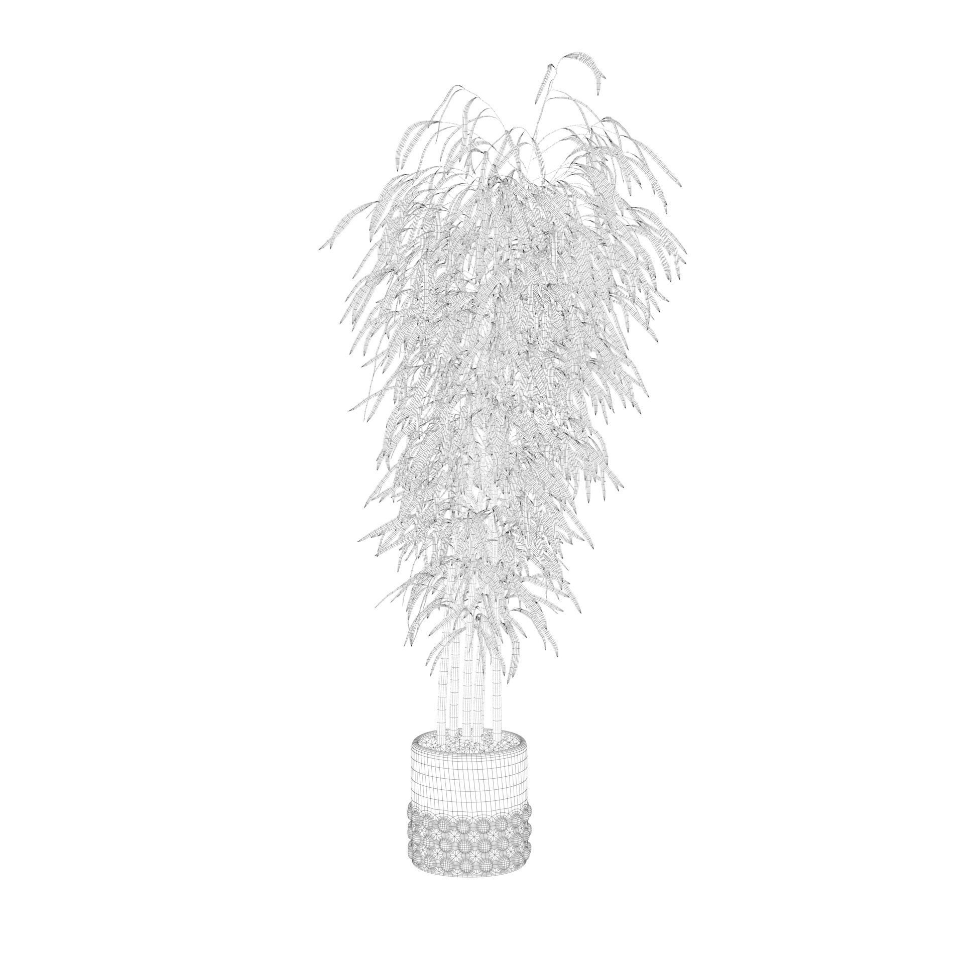 Bamboo in black oval pot 3D model_47