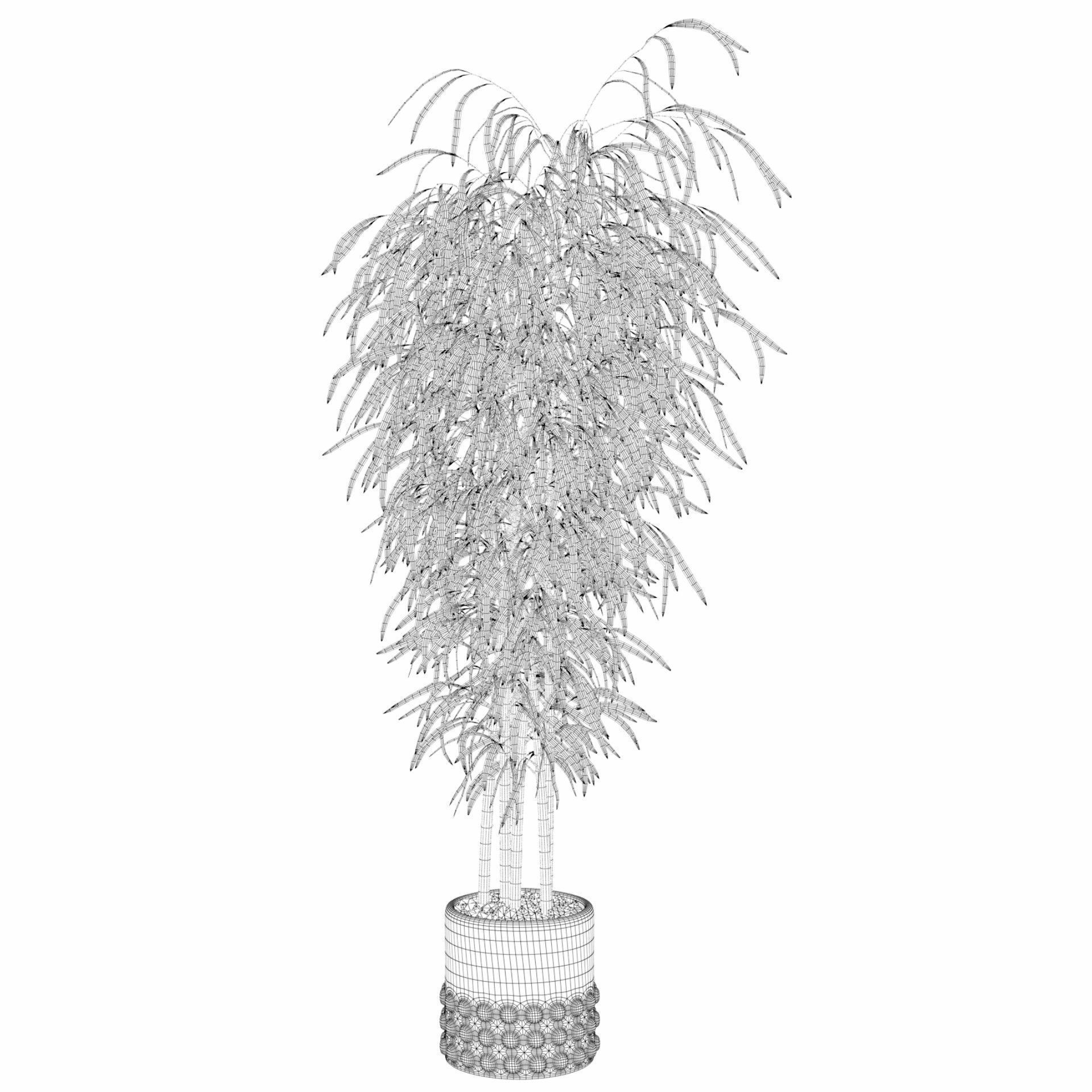 Bamboo in black oval pot 3D model_35