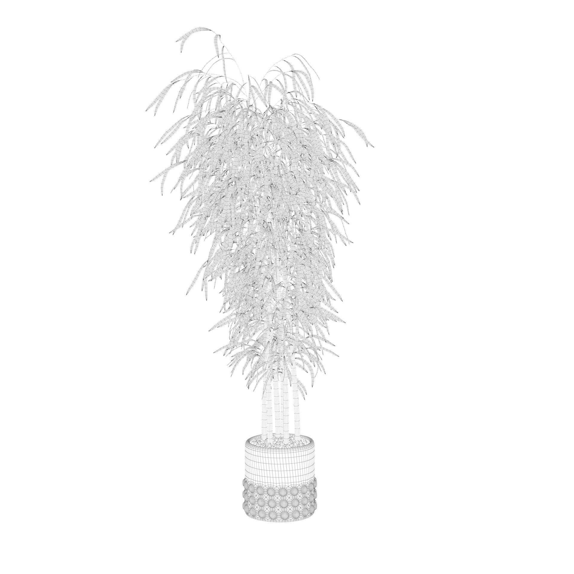 Bamboo in black oval pot 3D model_57