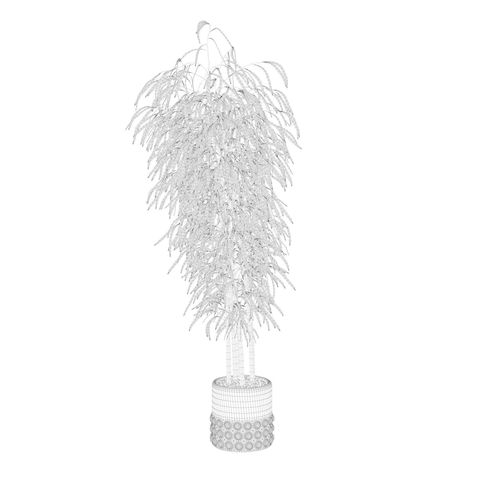 Bamboo in black oval pot 3D model_70