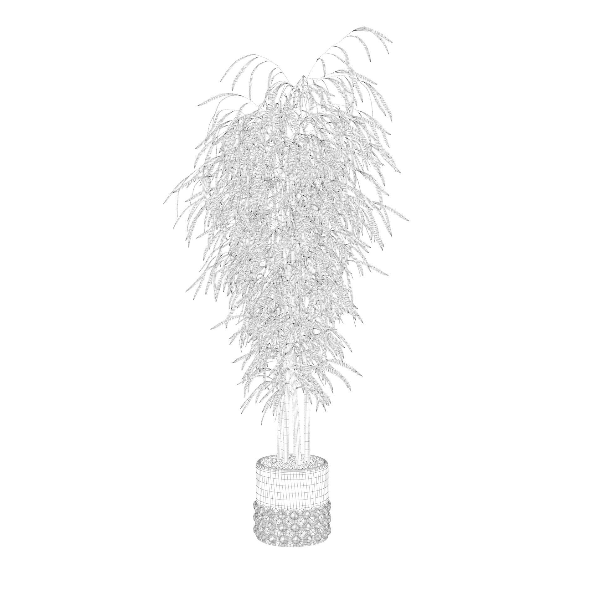 Bamboo in black oval pot 3D model_59