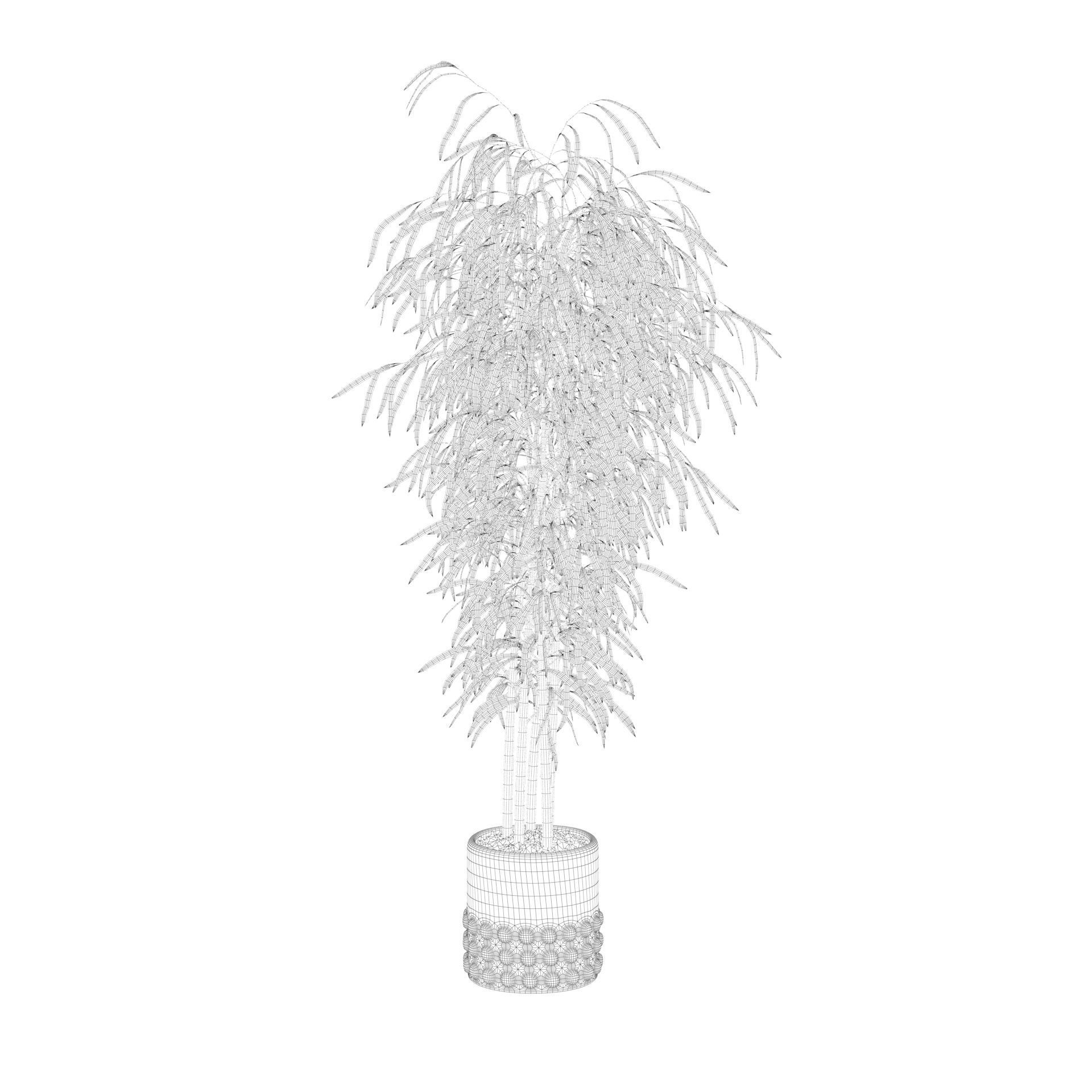 Bamboo in black oval pot 3D model_46