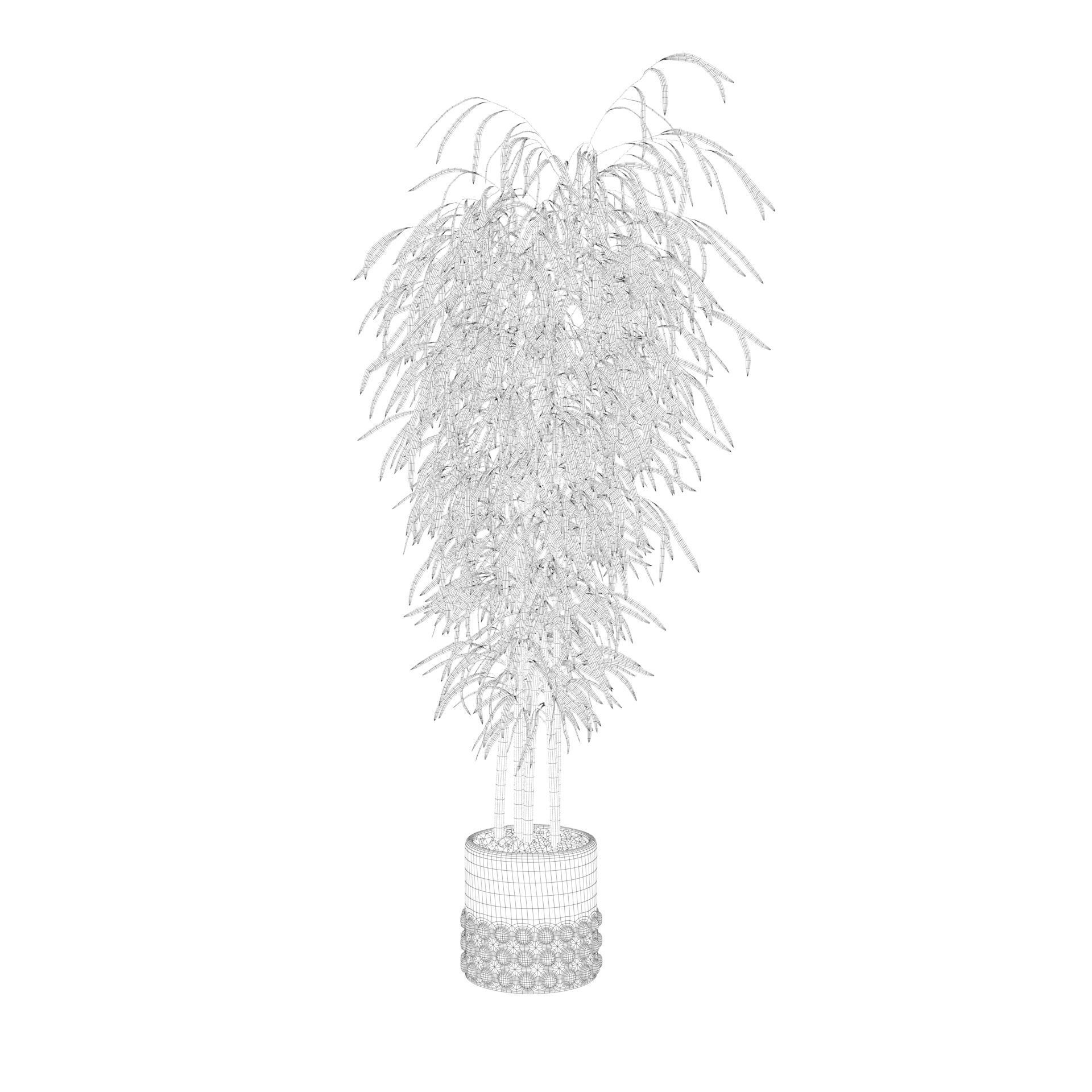 Bamboo in black oval pot 3D model_38