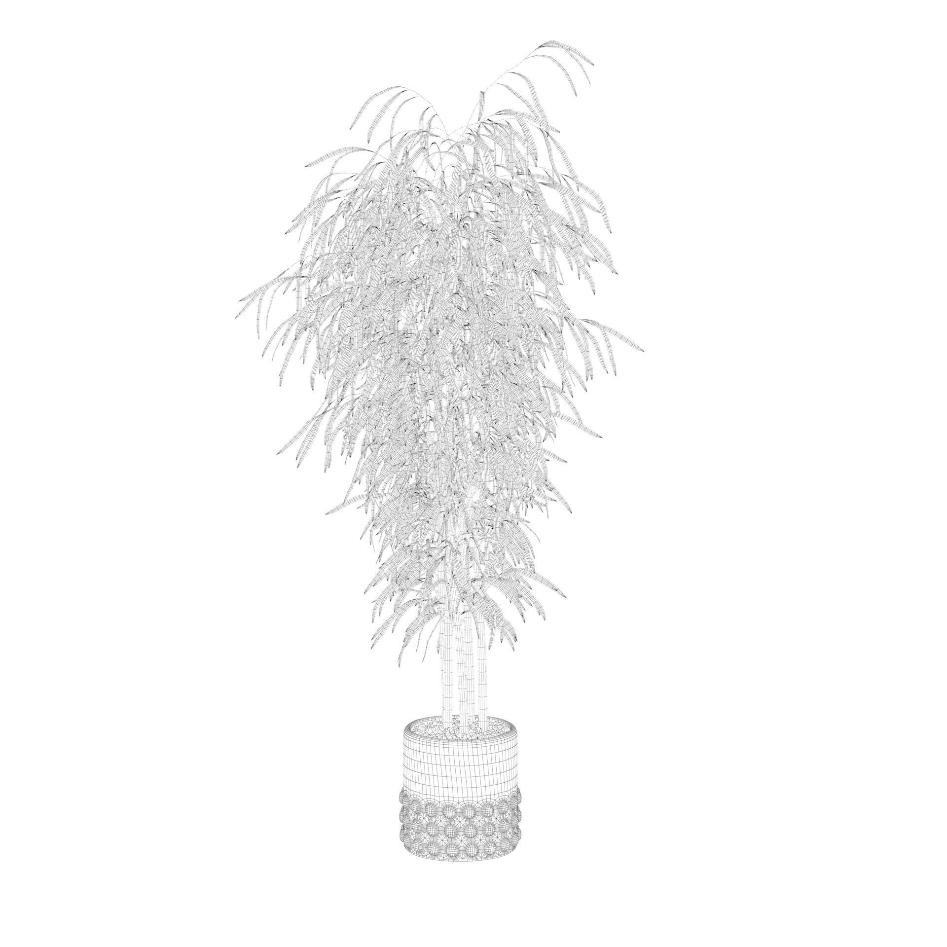 Bamboo in black oval pot 3D model_61