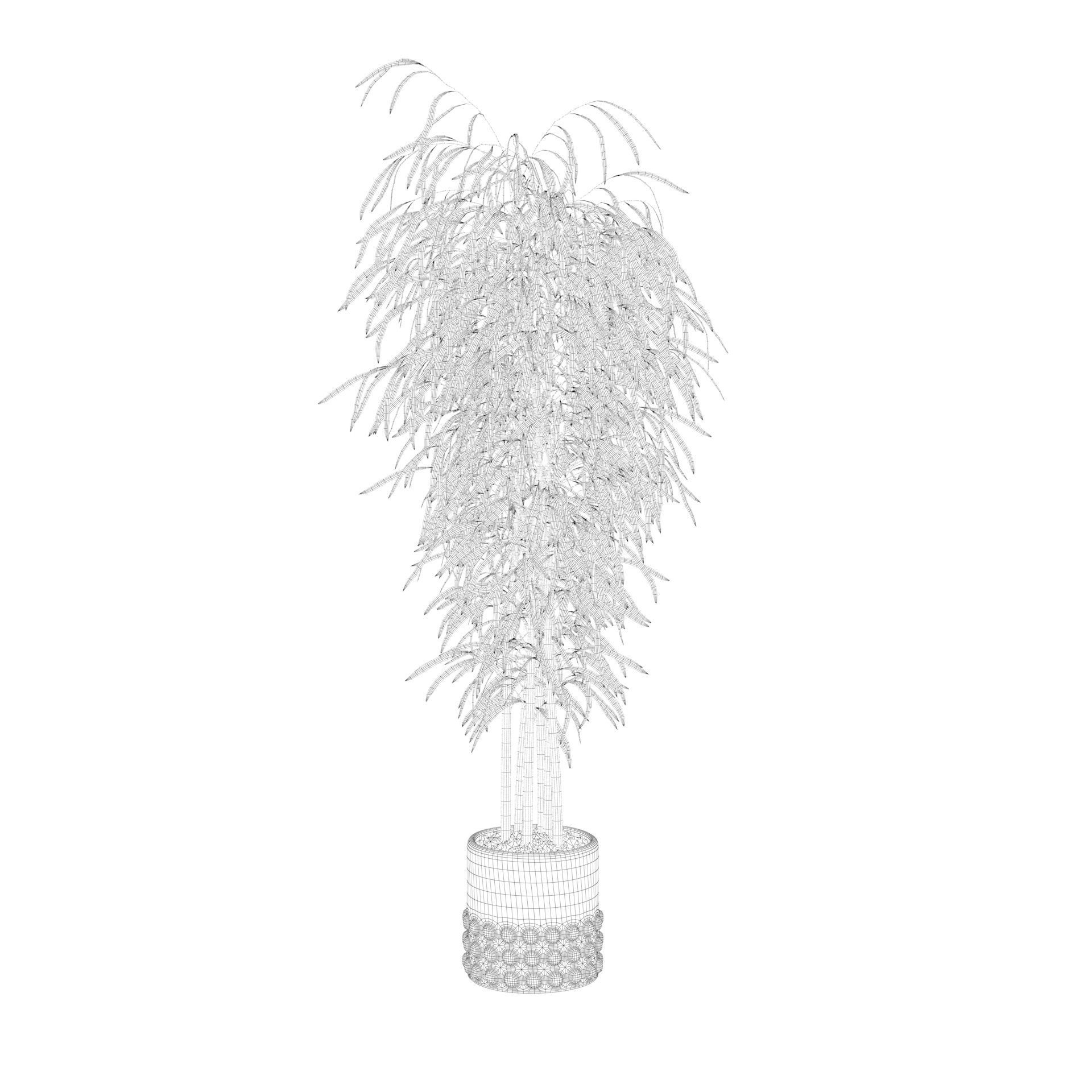 Bamboo in black oval pot 3D model_56