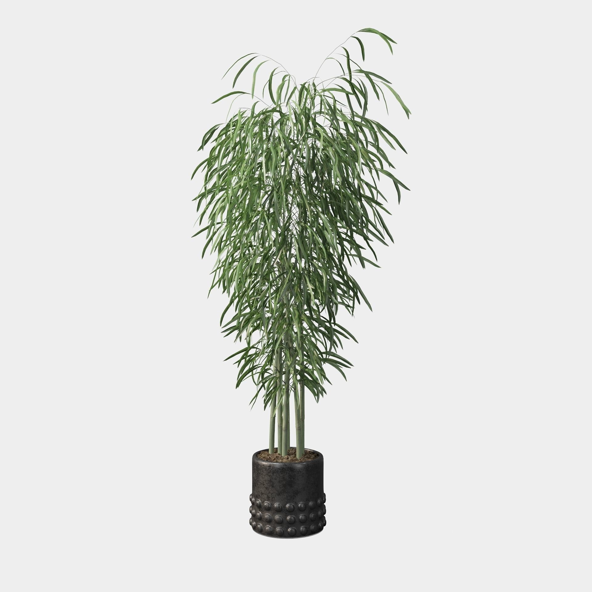 Bamboo in black oval pot 3D model_26