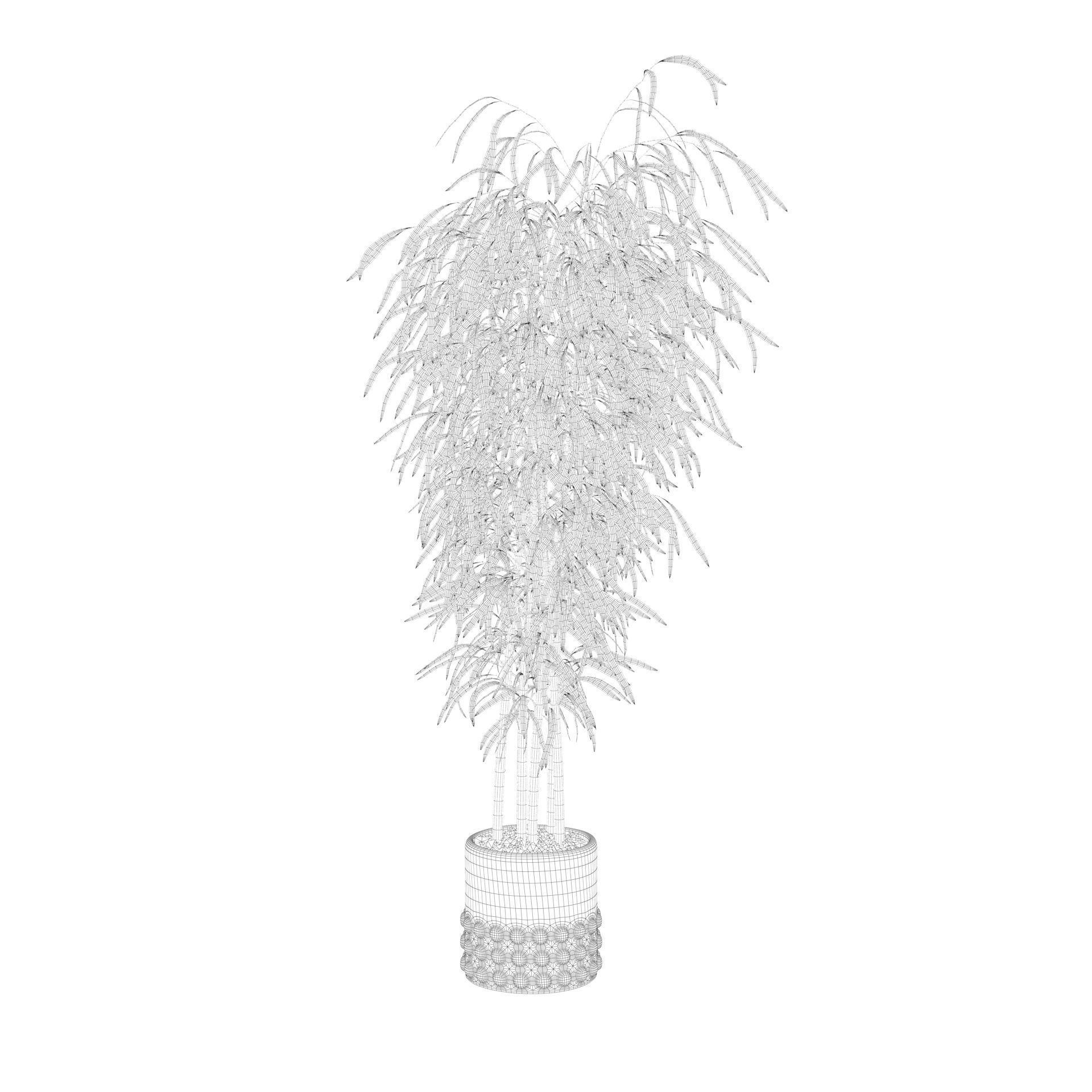 Bamboo in black oval pot 3D model_40