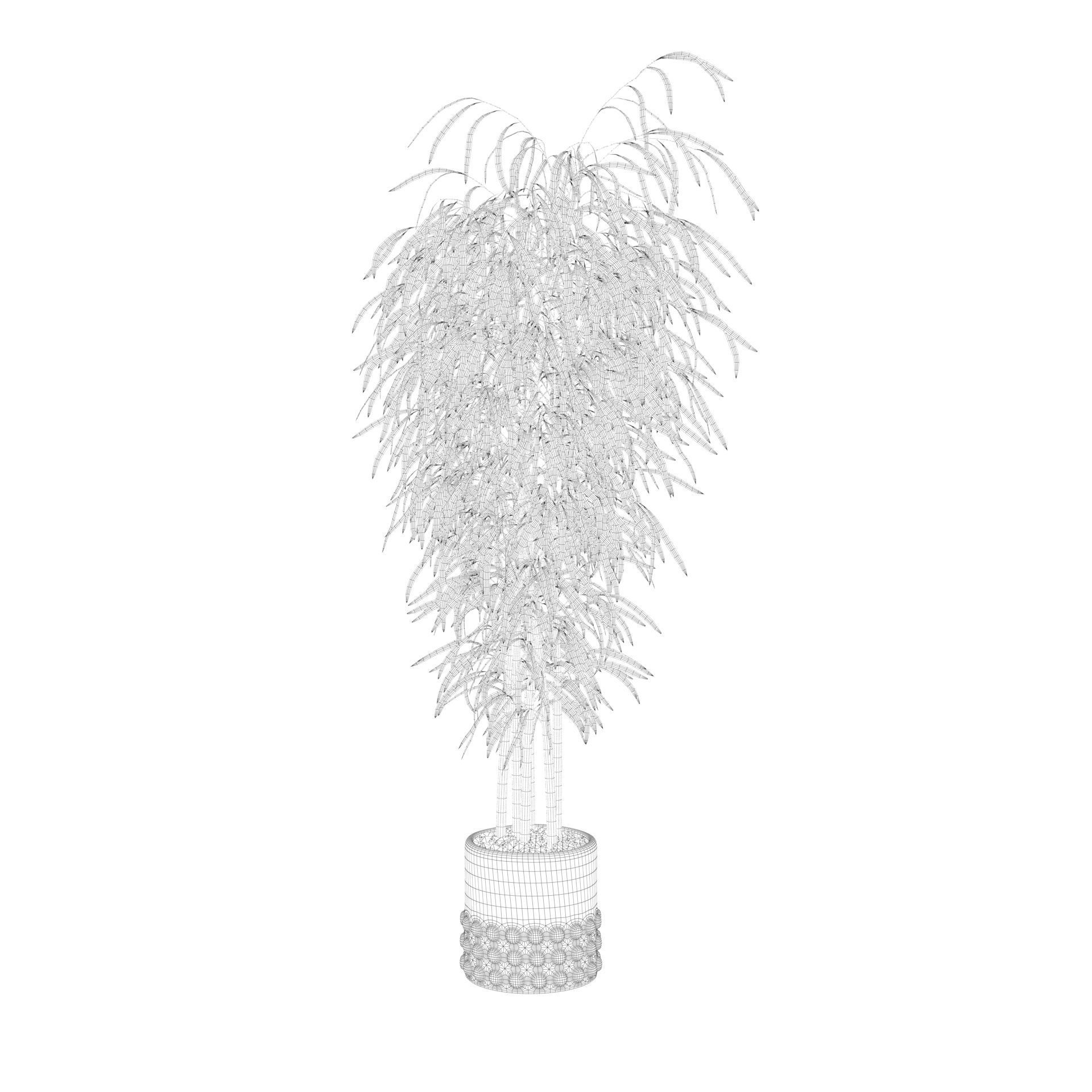 Bamboo in black oval pot 3D model_58