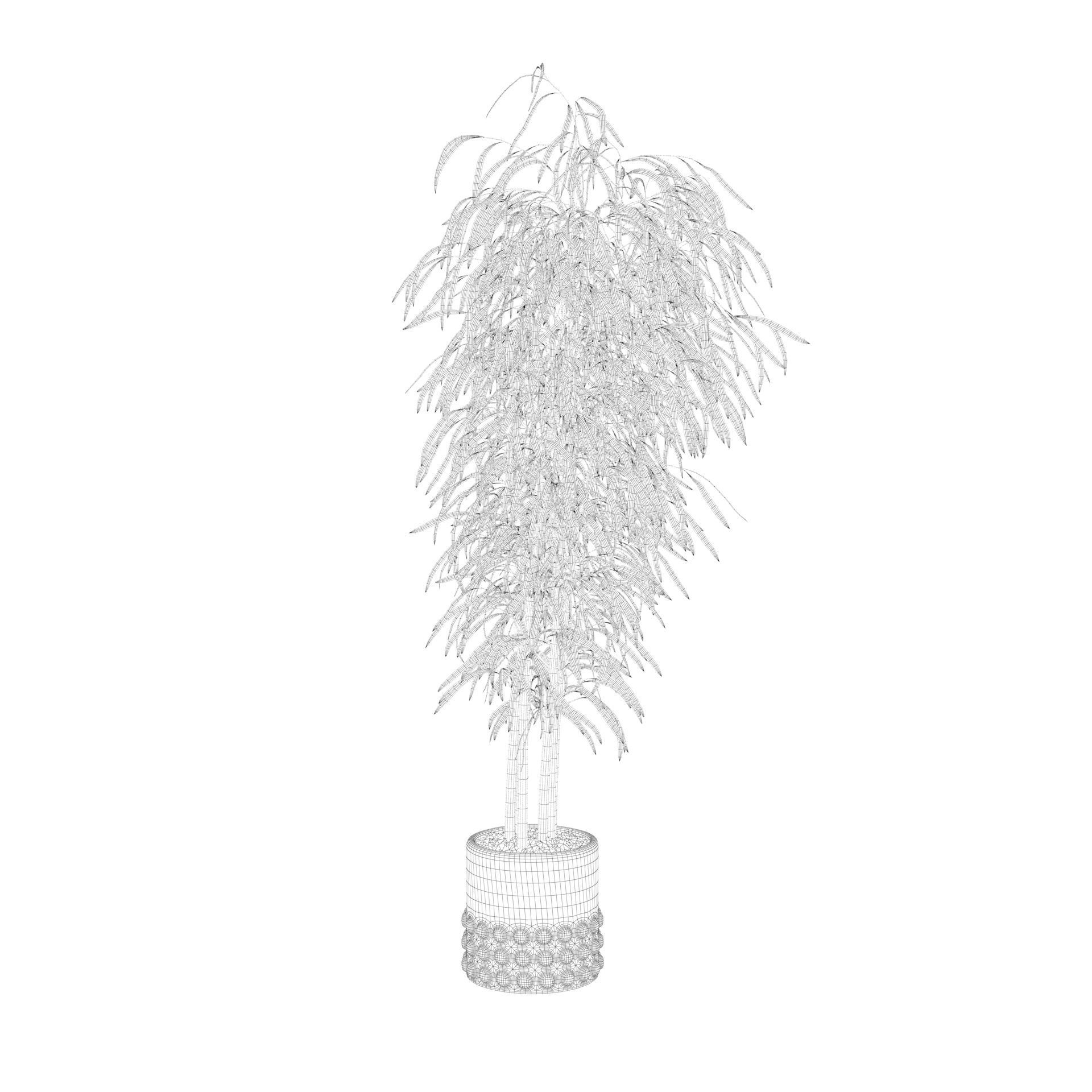 Bamboo in black oval pot 3D model_43