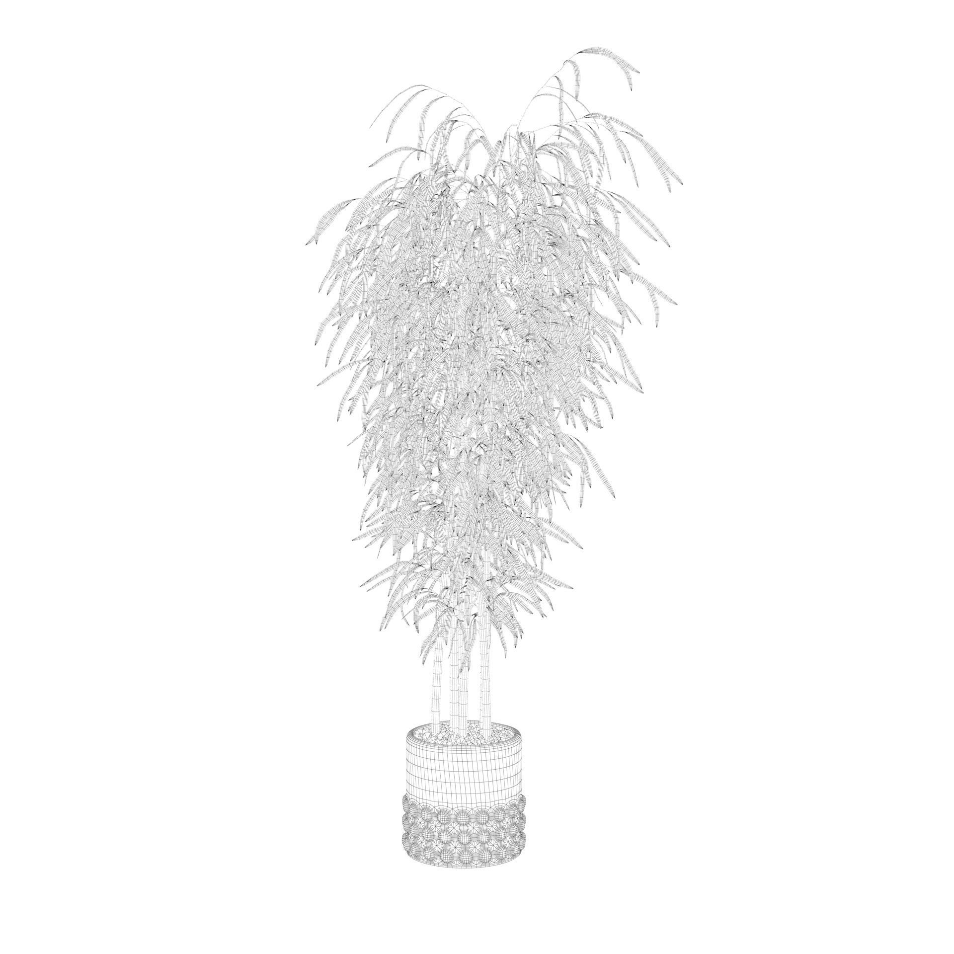 Bamboo in black oval pot 3D model_39