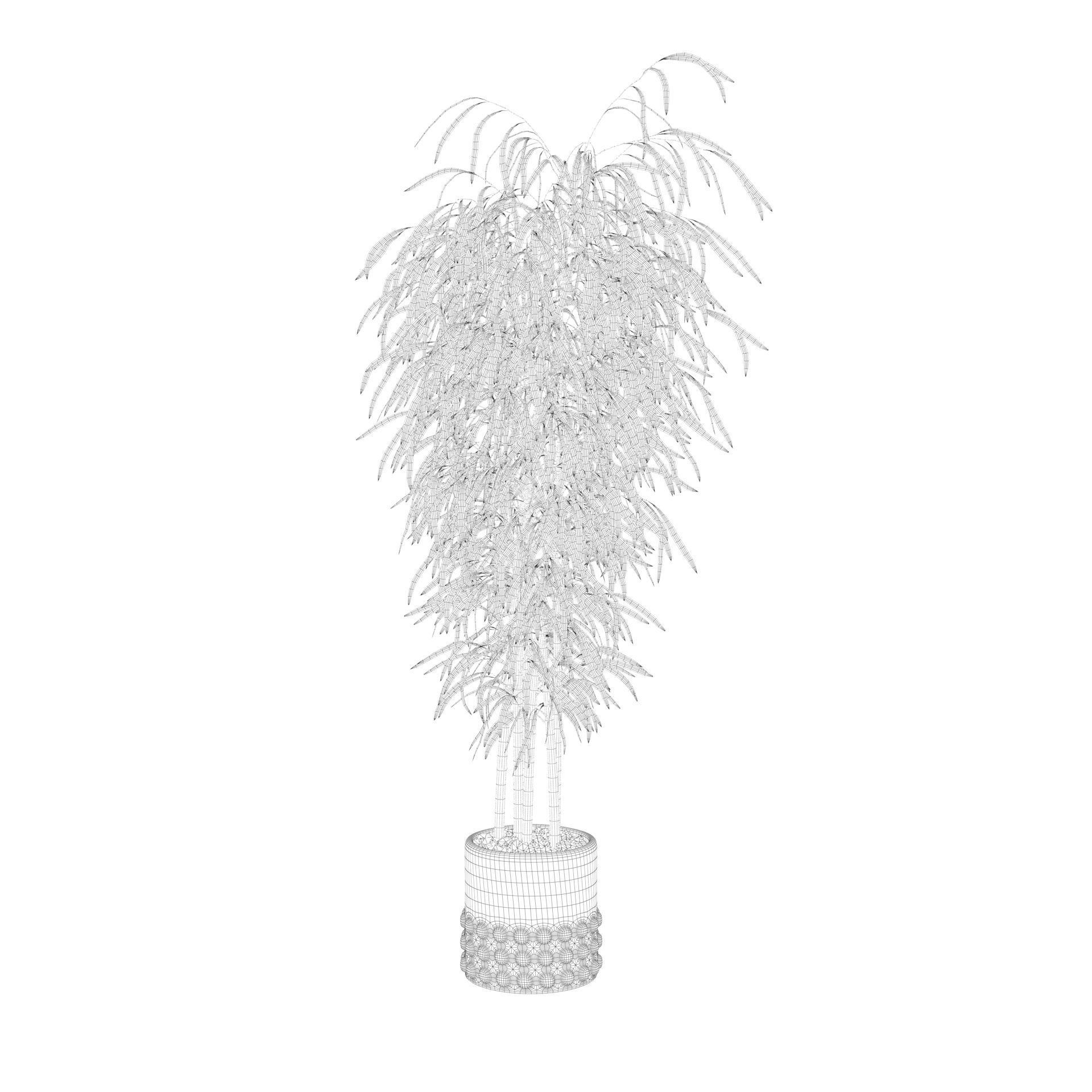 Bamboo in black oval pot 3D model_63