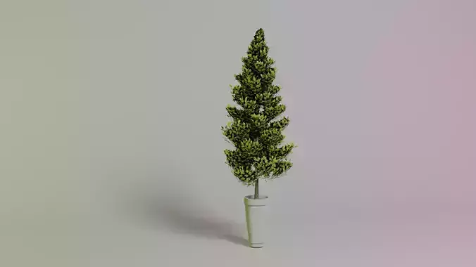 Galisoniesis grandiflora