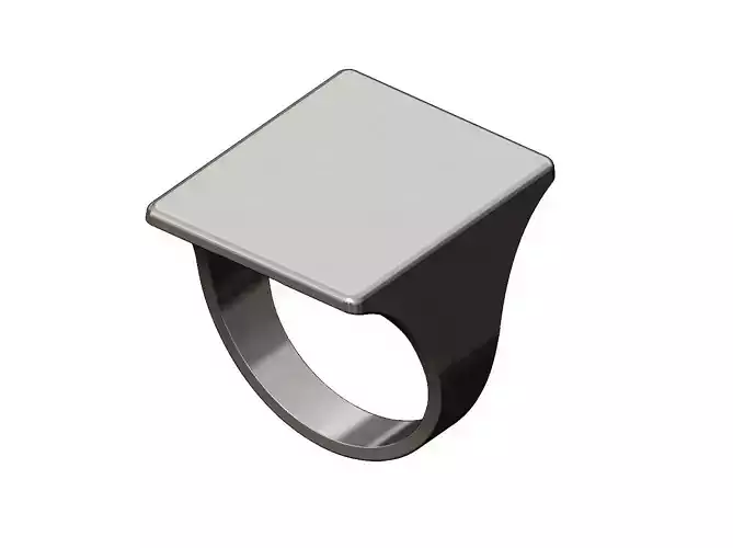 Large basic flat top rectangular signet ring