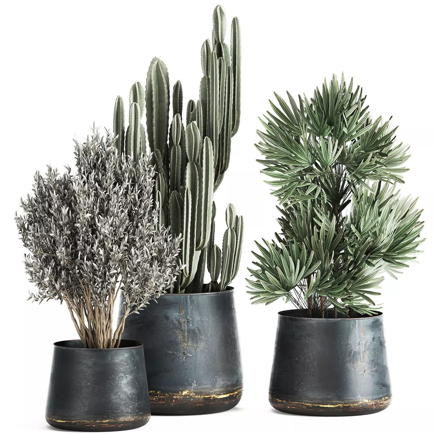 Houseplants in a pot for the interior 870 3D model