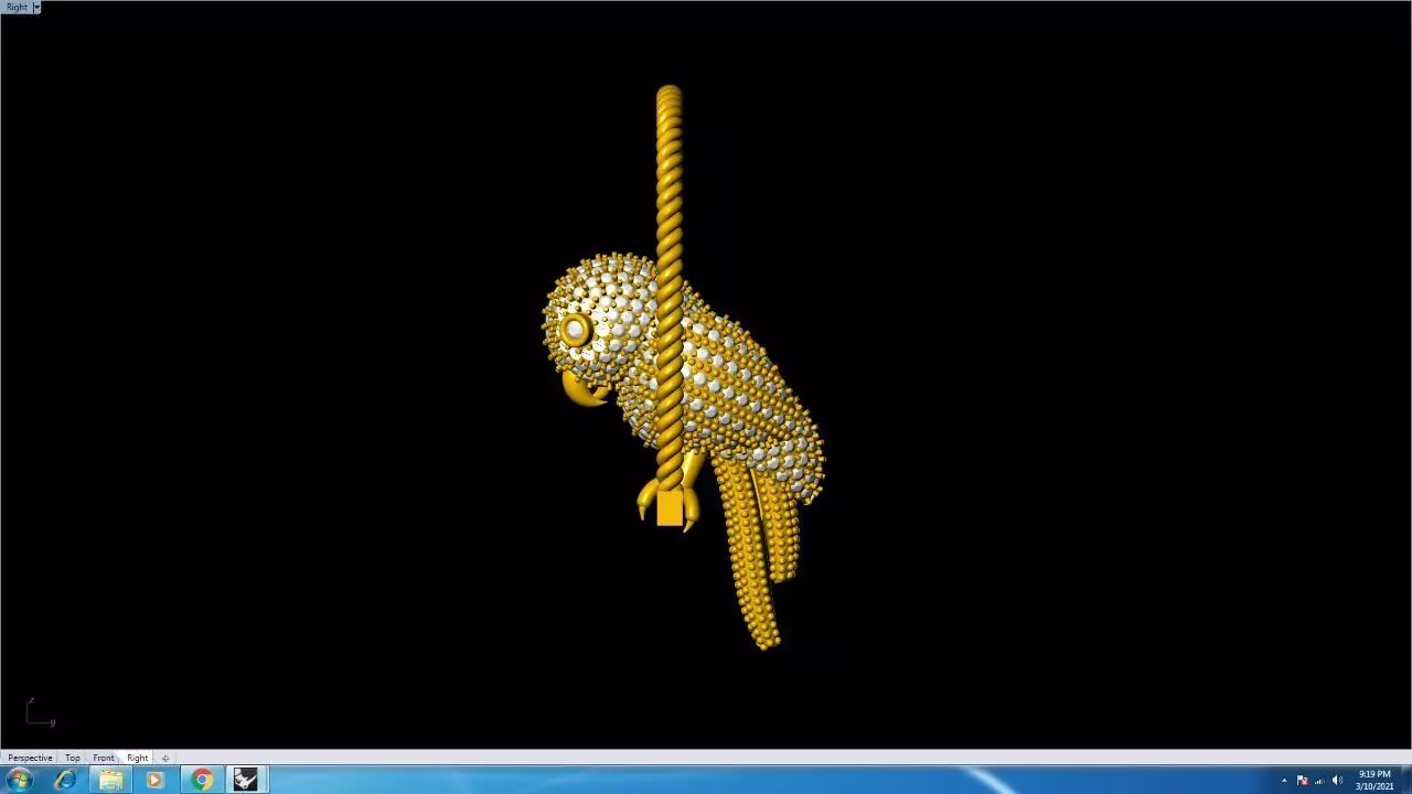 EARRING computer screen showing gold rope 3D print model