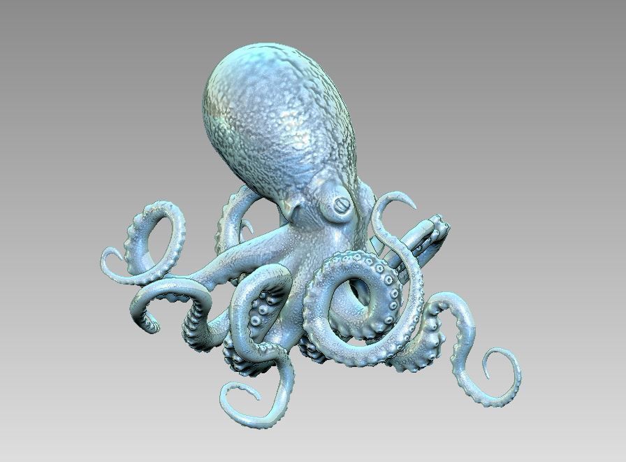 octopus 3D print model_7