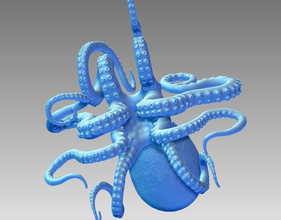 octopus 3D print model_1